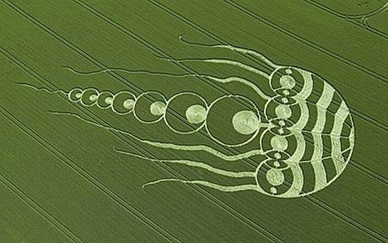jellyfish-crop-circle3.jpg