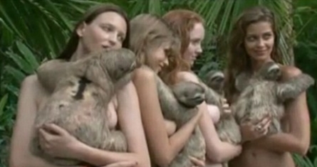 sloth brassieres